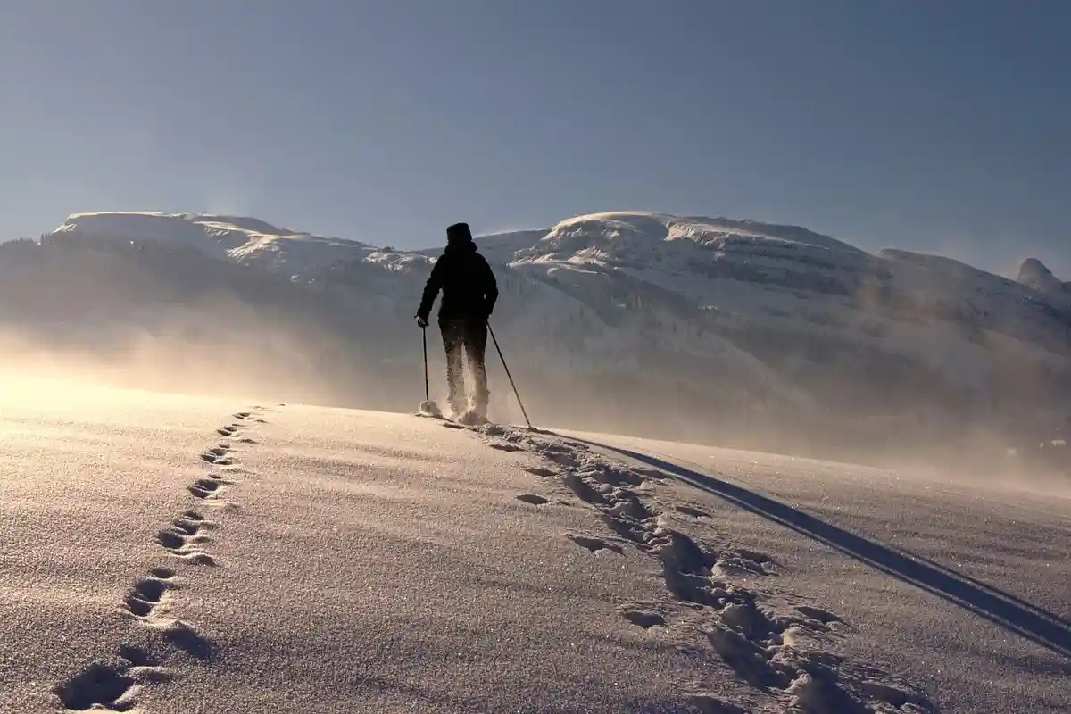 Катание на лыжах. Фото: Walter Frehner / Pixabay