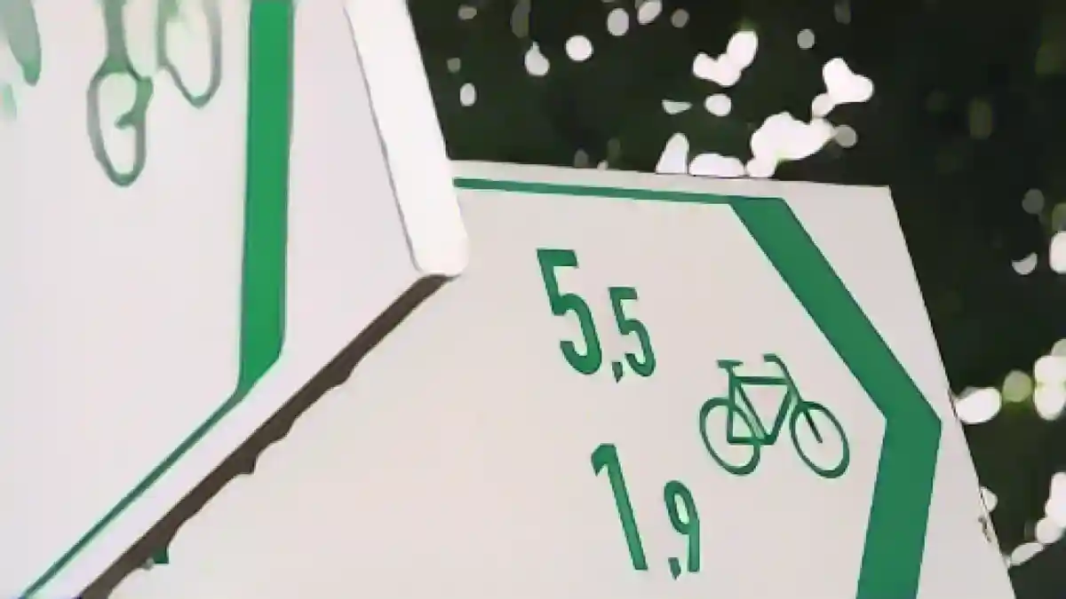Знаки указывают направление велосипедных дорожек.:Знаки указывают направление велосипедных дорожек. Фото