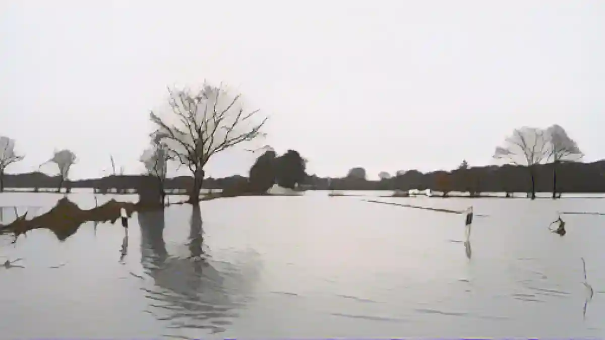 После того как река Эмс вышла из берегов, многие районы Эмсланда оказались затоплены.:После того как река Эмс вышла из берегов, вода стоит на многих участках в Эмсланде. Фото