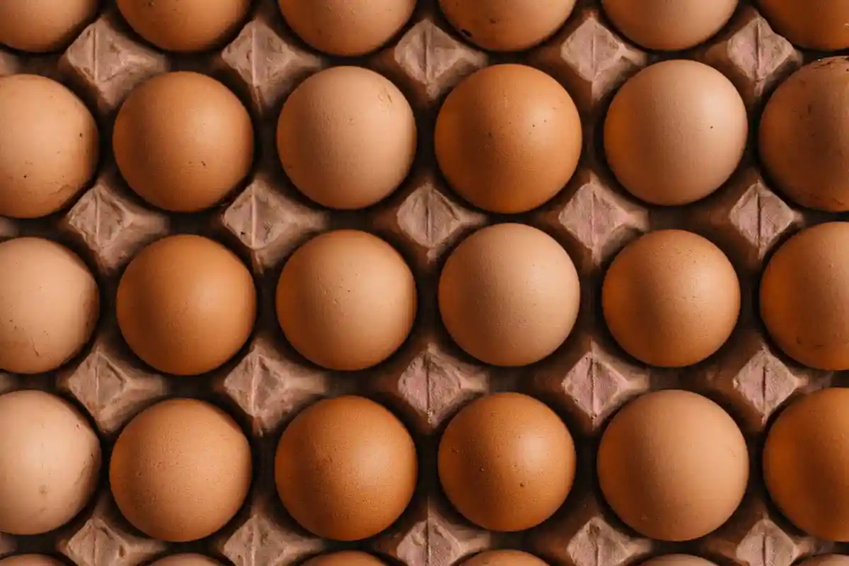 Почему коричневые яйца исчезнут из супермаркетов Германии