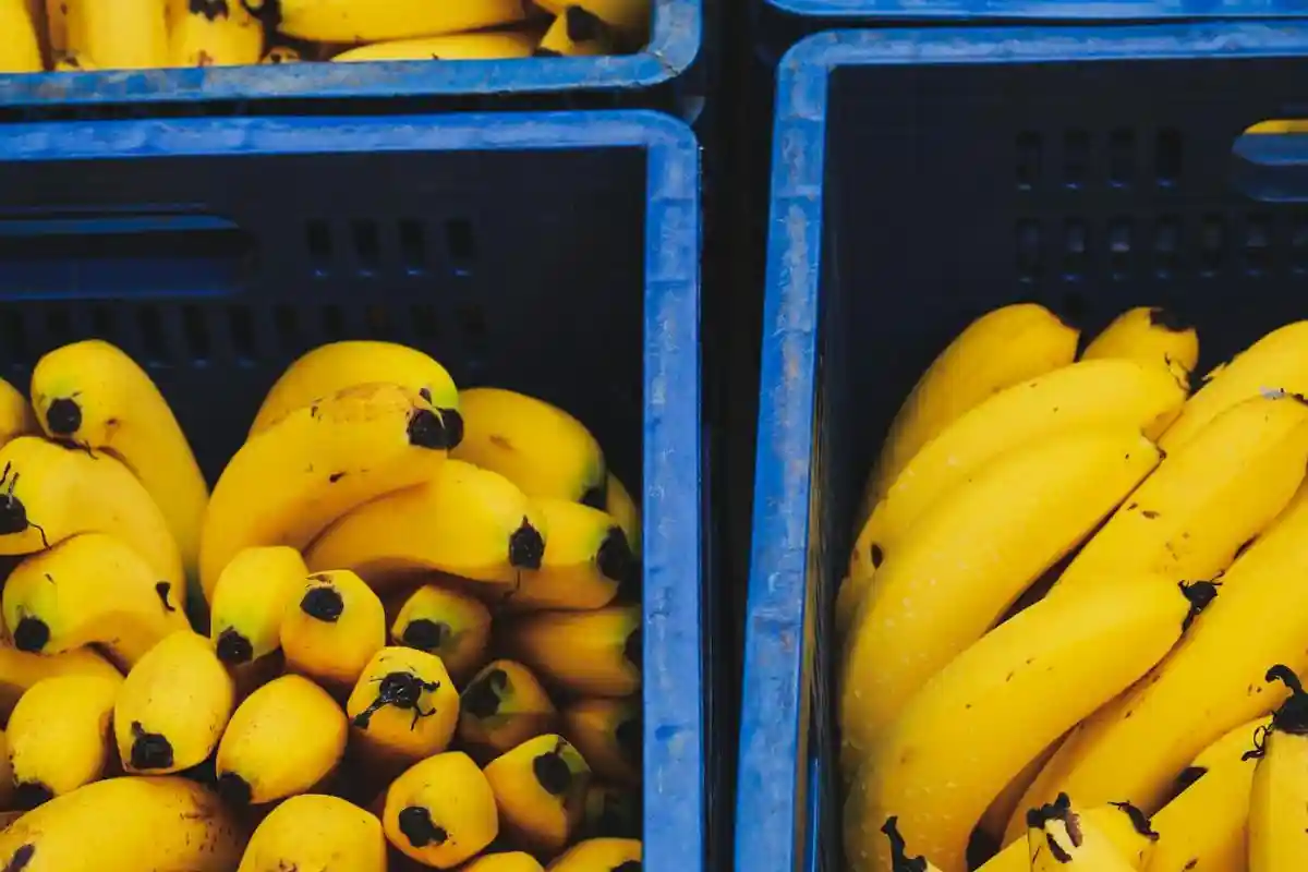 В 11 немецких супермаркетах Lidl был найден кокаин среди бананов. Фото: Renata Brant / pexels.com