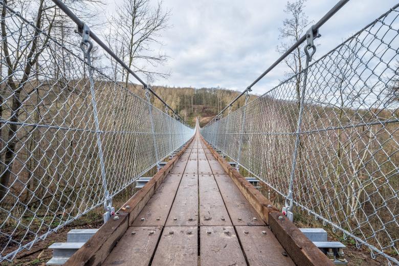 Die Hängeseilbrücke im Bärental ist Deutschlands neueste Hängebrücke. Foto: dugdax /shutterstock.com